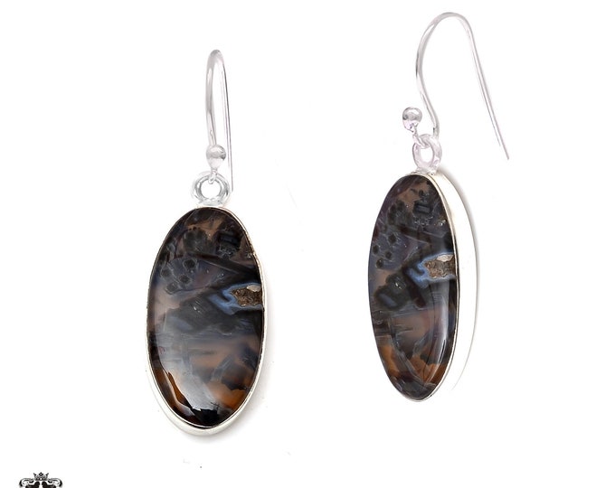 Stick Agate 925 Sterling Silver Hook Dangle Earrings E429