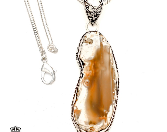 Czech Republic PETRIFIED Wood STALACTITE Pendant & FREE 3MM Italian 925 Sterling Silver Chain  V1777