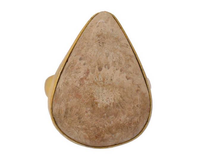 Size 6.5 - Size 8 Fossilized Bali Coral Ring Meditation Ring 24K Gold Ring GPR1735