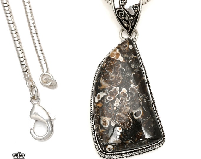 TURRITELLA FOSSIL Agate Jasper Pendant & FREE 3MM Italian 925 Sterling Silver Chain V1592