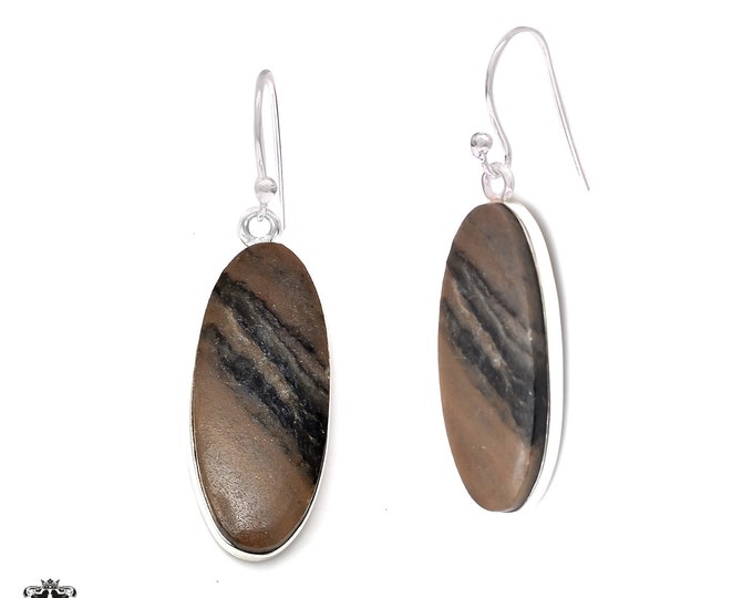 Stromatolite 925 Sterling Silver Hook Dangle Earrings E311