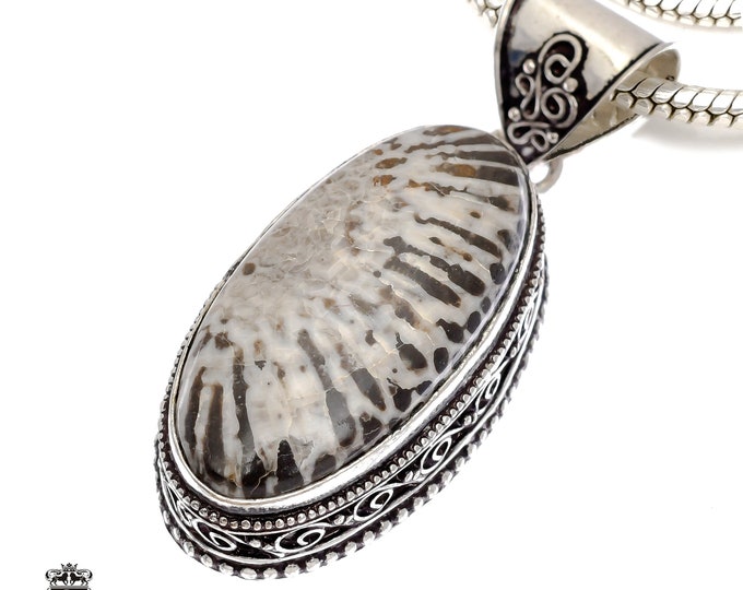 Best Color! Stingray Coral Fossil Pendant & FREE 3MM Italian 925 Sterling Silver Chain V714
