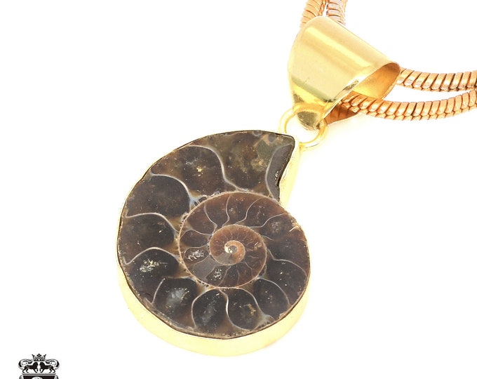 Ammonite Fossil Pendant Necklaces & FREE 3MM Italian 925 Sterling Silver Chain GPH674