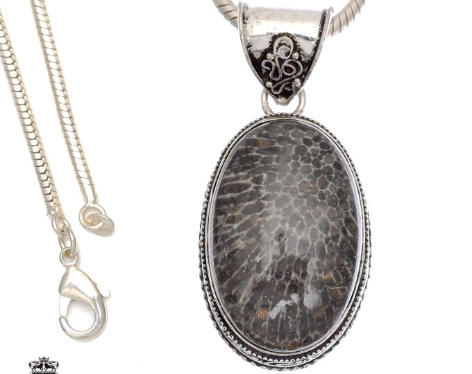 Wow-Factor! Stingray Coral Fossil Pendant & FREE 3MM Italian 925 Sterling Silver Chain V715