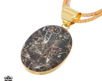 Turritella Agate Pendant Necklaces & FREE 3MM Italian 925 Sterling Silver Chain GPH746