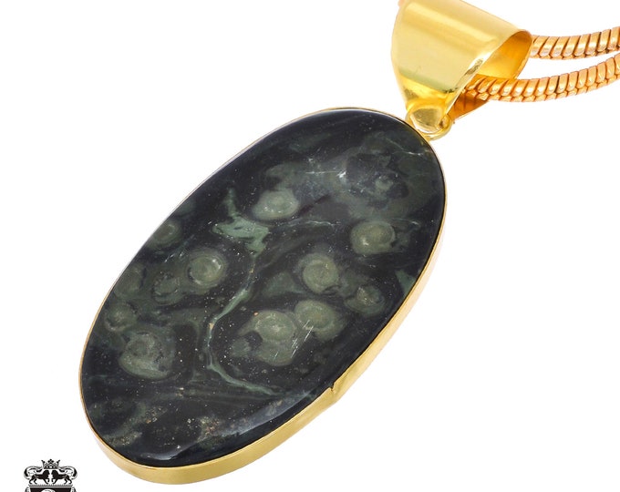 Kambaba Star Galaxy Jasper Pendant Necklaces & FREE 3MM Chain GPH1219