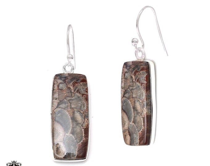 Bird's Eye Jasper 925 Sterling Silver Hook Dangle Earrings E362