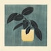 Rubber Tree Plant, Print of Original Monotype - Etsy