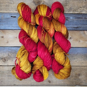 Lion House  Hand Dyed Yarn