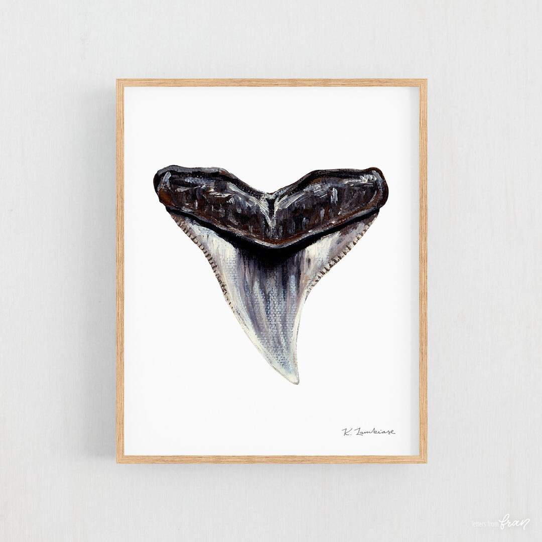 Bull Shark Tooth Art Print, Sharktooth Wall Art, Bullshark Tooth