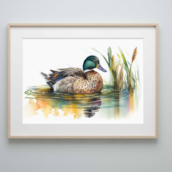 Canard colvert aquarelle peinture art imprimable mur affiche aquarelle Art Nature peinture téléchargement numérique Art cadeau rustique Home Decor 135