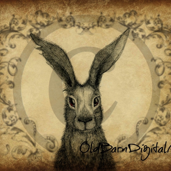 Primitive Digital Art-  -Ole Bunny - Hare  - Jar Candle Logo- Pantry Label - Rusty Can Label  - Label JPEG File Instant Download