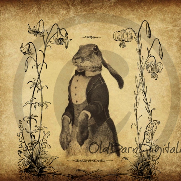 Primitive Digital Art-  -Ole Bunny - Hare  - Jar Candle Logo- Pantry Label - Rusty Can Label  - Label JPEG File Instant Download