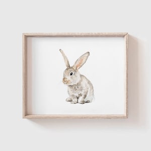 May include: A watercolour painting of a grey rabbit with long ears sitting on a white background. The rabbit is framed in a light wood frame.
