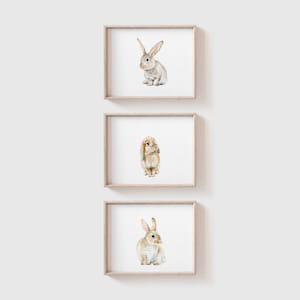 SET of 3 Bunny Art Prints - Woodland Animal Painting -Bunny Watercolor - Bunny Painting - Baby Room - Baby - Baby Girl - Baby Boy - Home