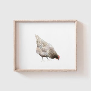 Brown Chicken Art Print- Farm Animal Watercolor Painting - Chicken - Hen Painting - Farmhouse - Chicken Painting - Kitchen Decor - Hen