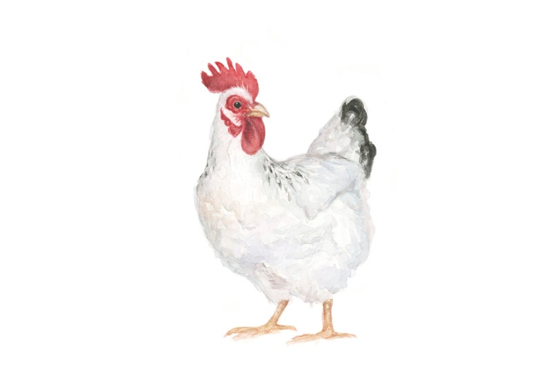 White Chicken Art Print Farm Animal Painting Chicken Hen Painting Farmhouse Chicken Painting Kitchen Decor Yellow Hen image 3