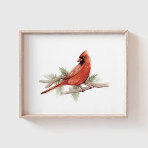 Cardinal Art Print - Northern Cardinal - Bird Painting - Watercolor Art - Home Decor Painting - Watercolor Painting - Red Cardinal