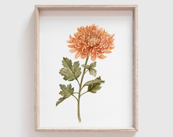 Chrysanthemum Art Print (Digital Download) - Flowers - Florals - Mother's Day Gift - Watercolor Painting - Home Decor - Mother's Day