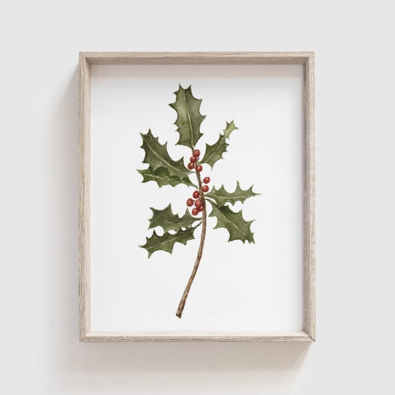 Holly Branch Art Print - Flowers - Florals - Mother's Day Gift - Floral Watercolor Painting - Home Decor  - Flower Watercolor - Home