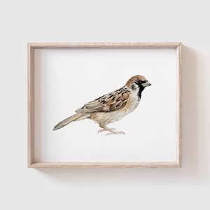 Sparrow Art Print - House - Tree - Bird Painting - Watercolor Art - Home Decor Painting - Watercolor Painting - Small bird - Rock