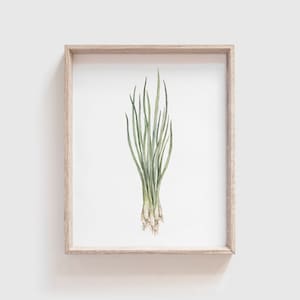 Green Onion Art Print - Onion painting - vegetable - Onion watercolor - home decor painting - kitchen art - dining room art - food art