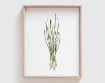 May include: A watercolor painting of a bunch of green scallions with white roots, framed in a light wood frame.