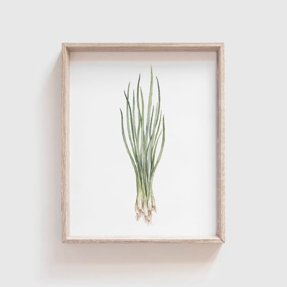 Green Onion Art Print - Onion painting - vegetable - Onion watercolor - home decor painting - kitchen art - dining room art - food art