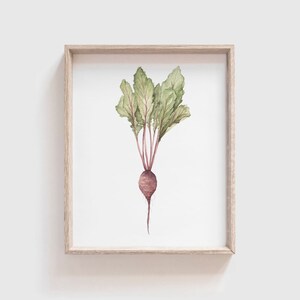 Beet Art Print - Beet painting - vegetable painting - Red Beet watercolor - home decor painting - kitchen art - dining room art - food art