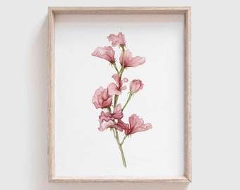 Sweet Pea Art Print (Digital Download) - Flowers - Florals - Mother&#39;s Day Gift - Watercolor Painting - Home Decor