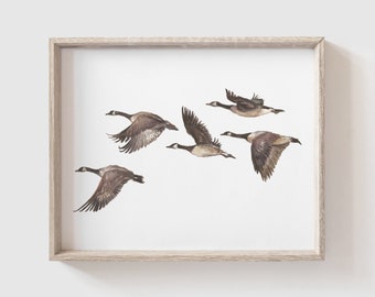 May include: A watercolor painting of a flock of six Canadian geese flying in formation against a white background. The geese are brown and gray with long necks and wings outstretched.