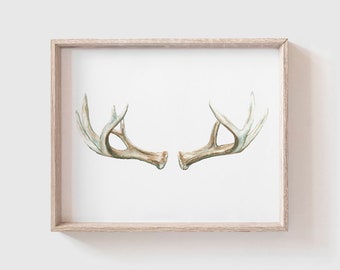 Antlers No 1 Art Print - Antler Painting - Antler Watercolor Painting - Antler Painting - Antler Art - Deer Antlers - Southwestern art -