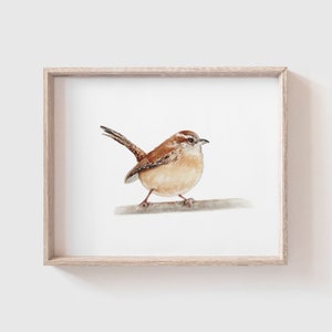 Wren Art Print - Brown Bird - New World - House - Song Bird Painting - Watercolor Art - Home Decor Painting - Watercolor Painting - songbird