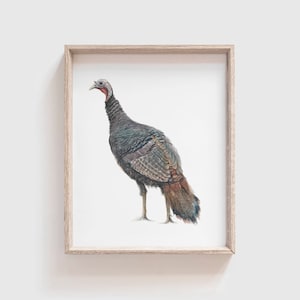 Turkey Art Print- Animal Painting - Thanksgiving Painting - Farm Animal Painting - Holiday - Turkey - Modern Farmhouse - Farmhouse - Bird