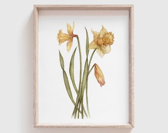 Daffodil Art Print (Digital Download) - Flowers - Florals - Mother's Day Gift - Watercolor Painting - Home Decor