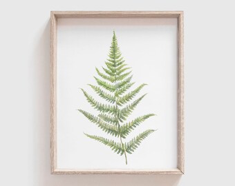 Fern No 2 Art Print - Fern painting - Fern - Fern watercolor - home decor - watercolor painting - greenery - fern art - fern leaf - leaf