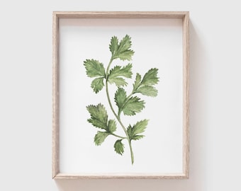 Cilantro Art Print - Cilantro painting - herb painting - watercolor - home decor painting - kitchen art - dining room art - food art - herbs