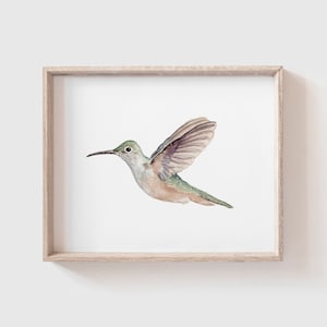 Hummingbird Art Print - Humming bird - Bird Painting - Watercolor Art - Home Decor Painting - Watercolor Painting - flying bird