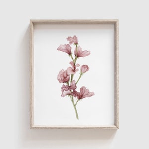 Sweet Pea Flower Art Print - Flowers - Florals - Mother's Day Gift - Floral Watercolor Painting - Home Decor - Watercolor - Home