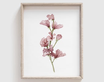 Sweet Pea Flower Art Print - Flowers - Florals - Mother's Day Gift - Floral Watercolor Painting - Home Decor - Watercolor - Home