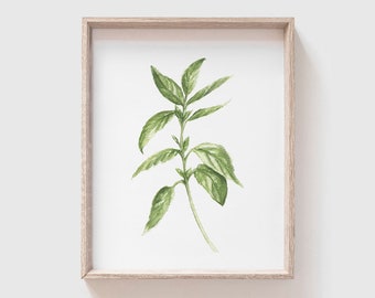 Basil Art Print - basil painting - herb painting - basil watercolor - home decor painting - kitchen art - dining room art - food art - herbs