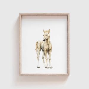 Horse No 1 Art Print Baby Animal Painting Colt Painting Farm Animal ...