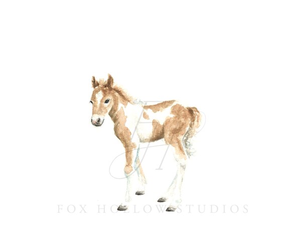 Horse No 2 Art Print Baby Animal Painting Colt Painting - Etsy Horse No 2 Art Print Baby Animal Painting Colt Painting - Etsy