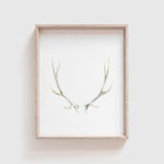 Deer Art Prints