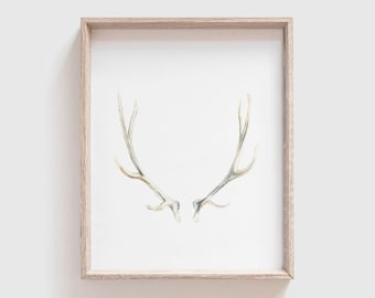 Antlers No 2 Art Print - Antler Painting - Antler Watercolor Painting - Antler Painting - Antler Art - Southwestern art - Watercolor Print