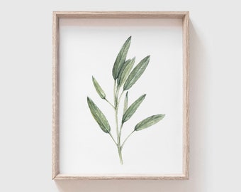 Sage Art Print - sage painting - herb painting - farmhouse - watercolor - home decor - kitchen art - dining room art - food art - herbs