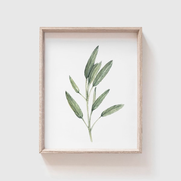 Sage Art Print - sage painting - herb painting - farmhouse - watercolor - home decor - kitchen art - dining room art - food art - herbs