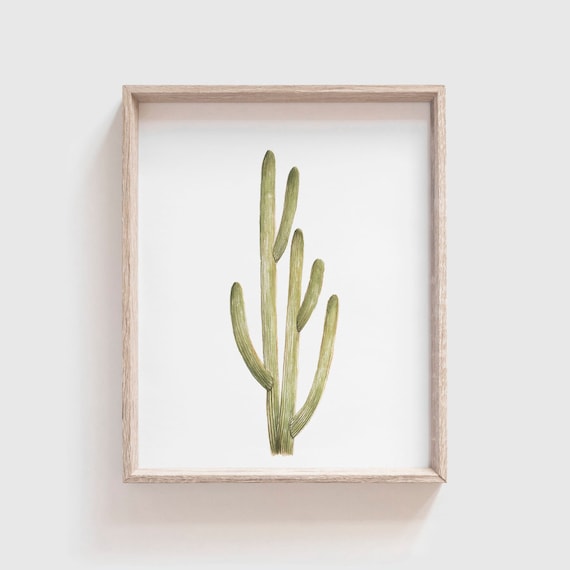 Smooth Cactus No 1 Art Print - Large Saguaro Cactus - Cactus Watercolor -  Cacti Painting - Southwestern - Greenery - Cacti Art - Southwest - Etsy