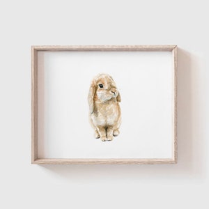 May include: A watercolour painting of a brown and white rabbit with floppy ears. The rabbit is sitting on a white background.