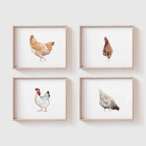 White Chicken Art Print Farm Animal Painting Chicken Hen Painting Farmhouse Chicken Painting Kitchen Decor Yellow Hen image 2